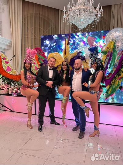 Аниматор под ключ