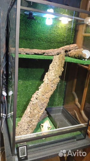 Террариум для рептилий