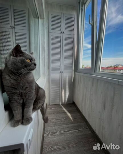 Отделка балкона/Остекление/Расширение