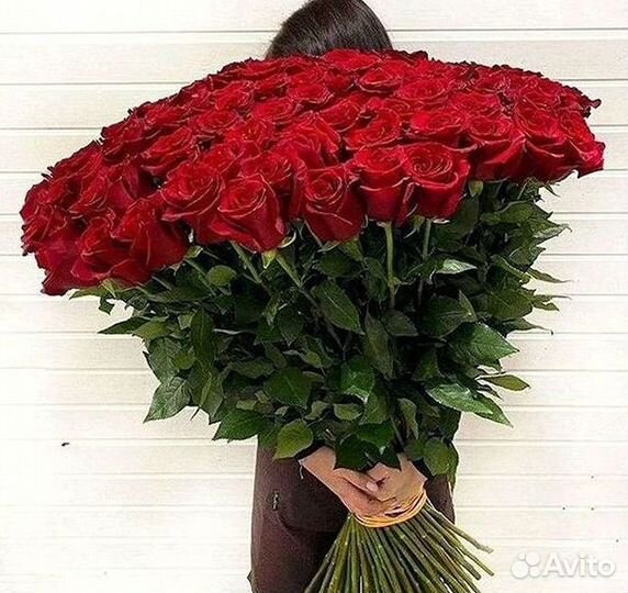 Розы высокие 150 160 170 180 190 200см