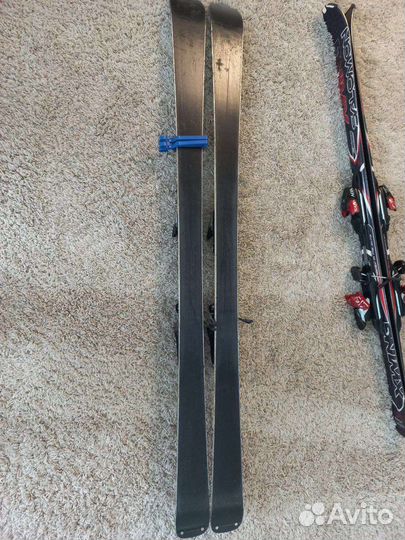 Горные лыжи