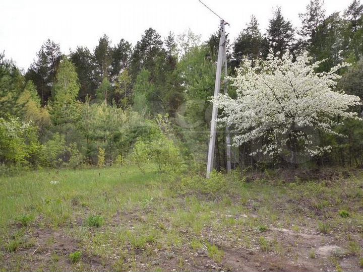 Участок 6 сот. (ИЖС)