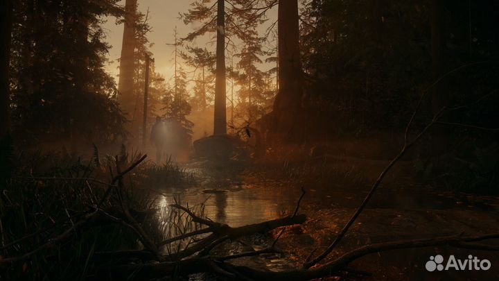 Alan Wake 2 Deluxe Edition Xbox