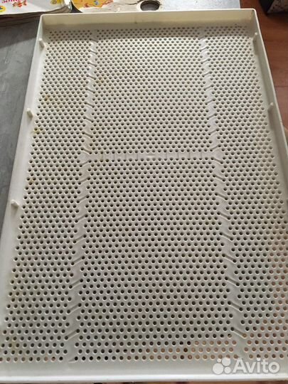 Поддон пластиковый перфорированный сыроварение