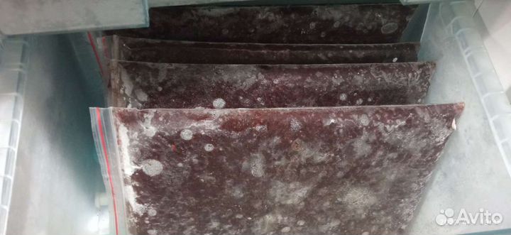 Мотыль заморозка