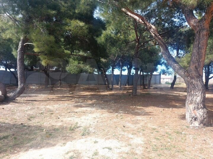 Участок 9 сот. (ИЖС)