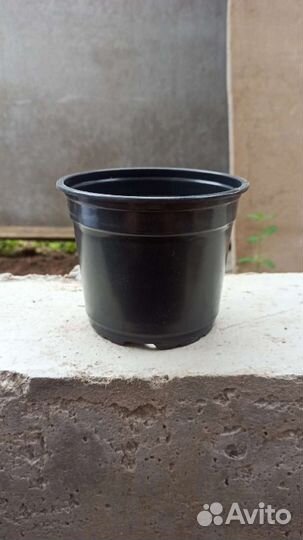 Контейнер для рассады