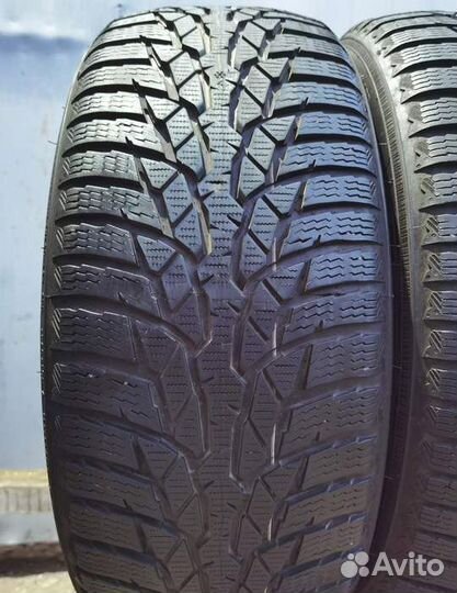 Nokian Tyres WR D4 205/50 R17 93V