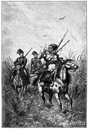 Вита Нова Гоголь Миргород (изд.уп-ка)