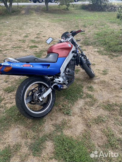 Спорт турист