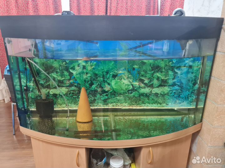 Украшения для аквариума