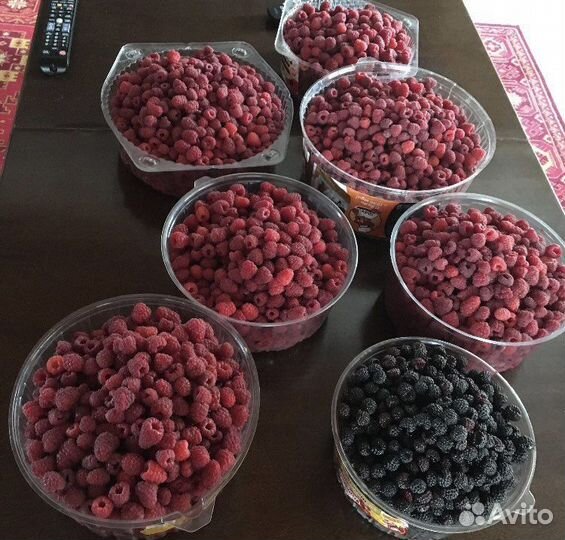 Малина саженцы