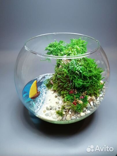 Моссариум (флорариум). Декор. Подарок