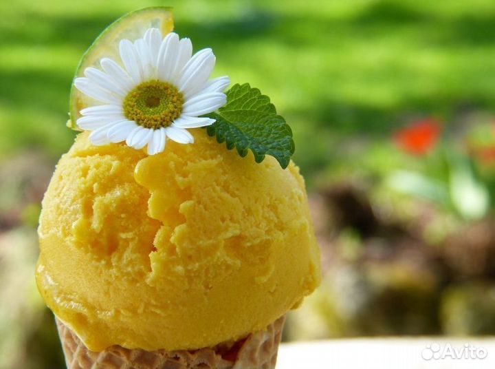 Франшиза лакомства с алкогольной ноткой