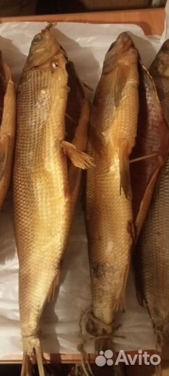 Щекур холодного копчения