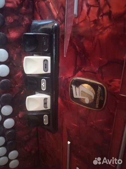 Баян weltmeister