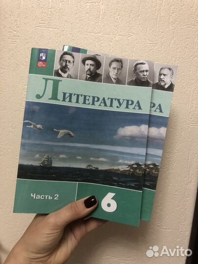Литература 6 класс ред. Коровиной, изд. 2023 г