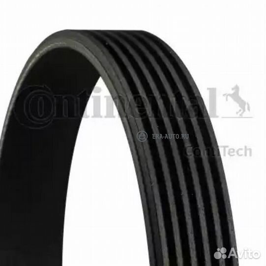 Contitech 6PK1019elast Ремень поликлин. contitech