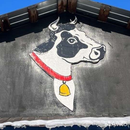 Свиные ребра для гриля