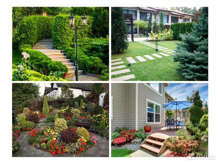 Ландшафтный дизайн. Растения для благоустройства