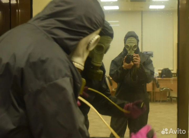 Уничтожение клопов тараканов блох грызунов плесени