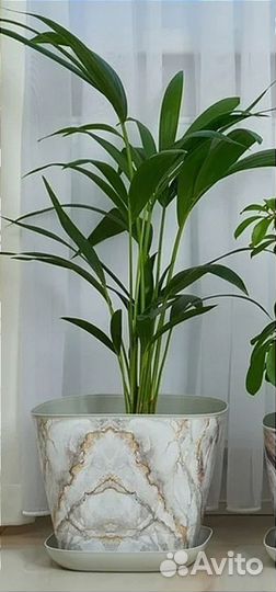 Кашпо горшок для цветов, серия 