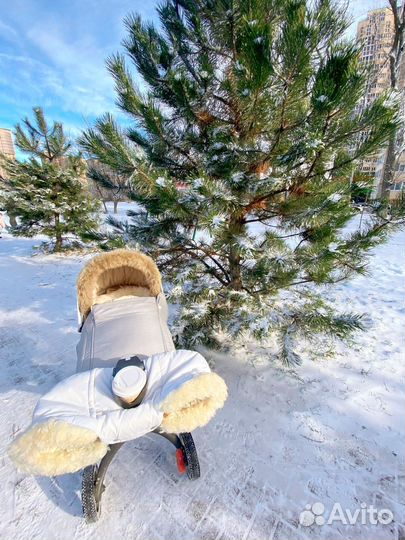 Коляска Stokke xplory 2 в 1