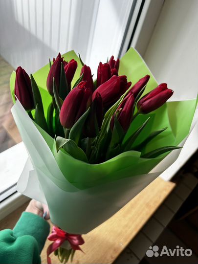 Тюльпаны розница