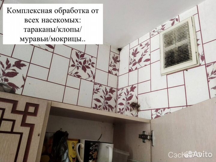 Уничтожение тараканов,клопов,мышей,плесени,запахов