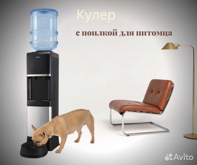 Кулер с поилкой для питомца