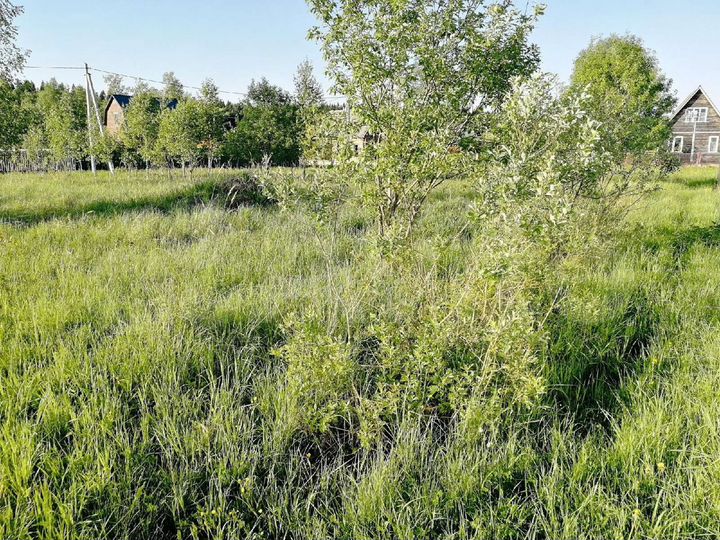 Участок 7 сот. (СНТ, ДНП)