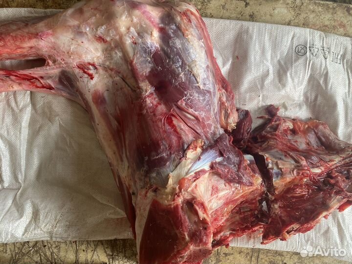 Продам говядину