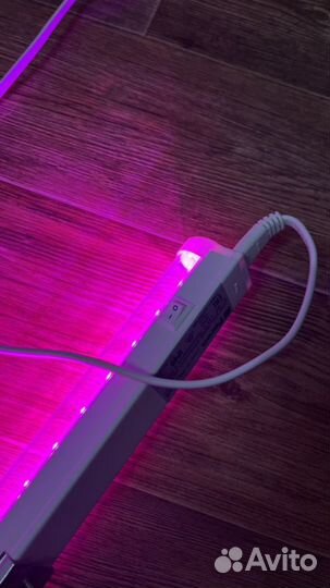 Фитолампа для растений