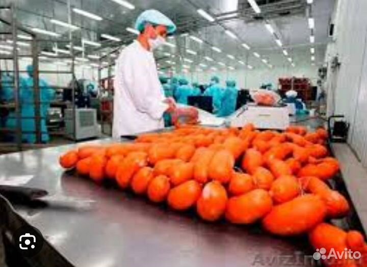 Вахта с питанием и проживанием