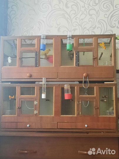 Клетки для птиц деревянные