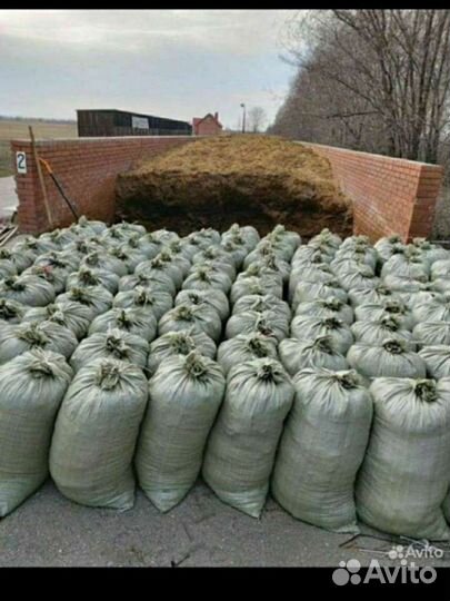 Земля чернозём