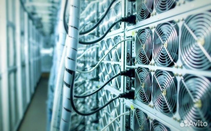 Майнинг отель, хостинг асик майнеров и контейнеров