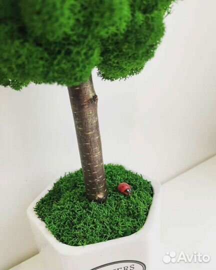 Эко-дерево из стабилизированного мха