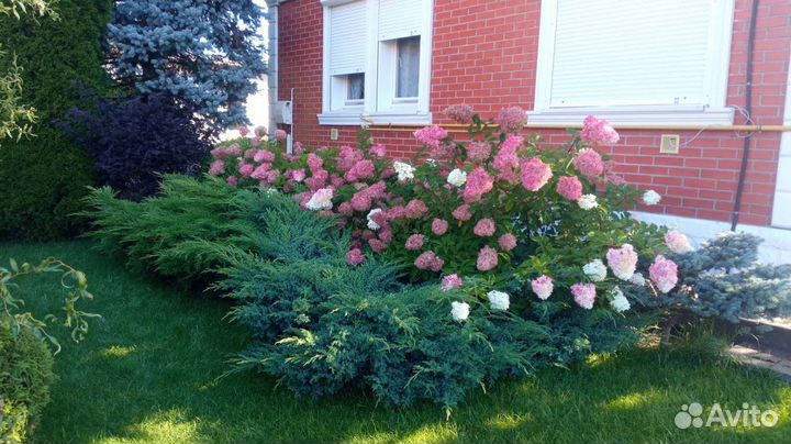 Ландшафтный дизайн, озеленение