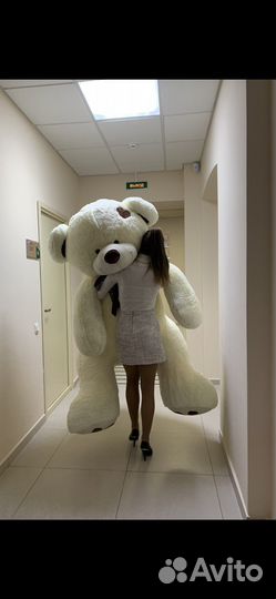 Большой Плюшевый медведь