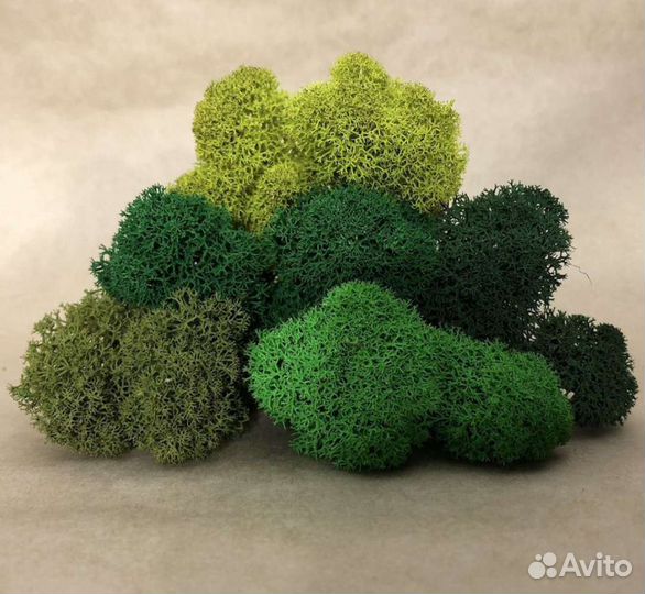 Стабилизированный мох для панно