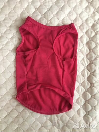 Одежда для собак или кошек