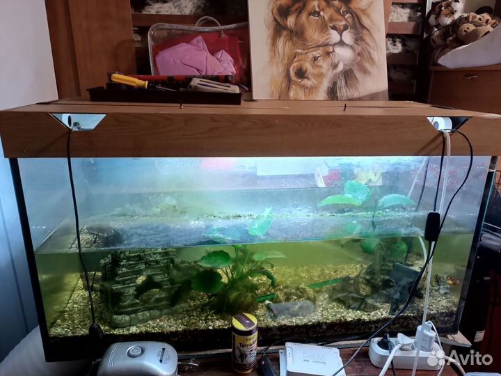 Аквариум