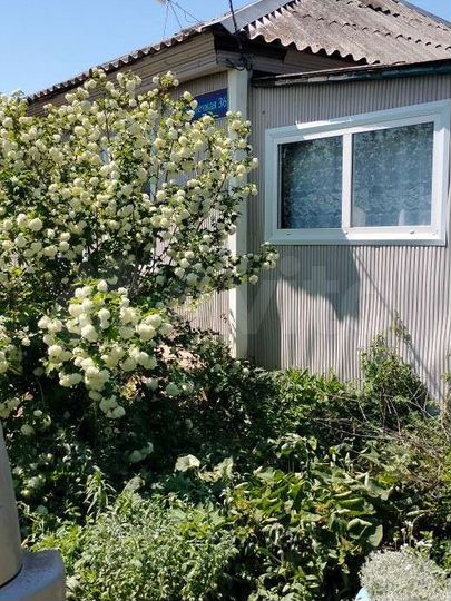 Дом 45 м² на участке 25 сот.