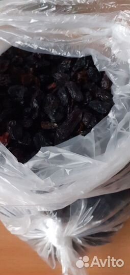 Отдам бесплатно