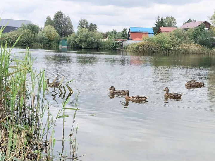 Дача 115,8 м² на участке 4,5 сот.