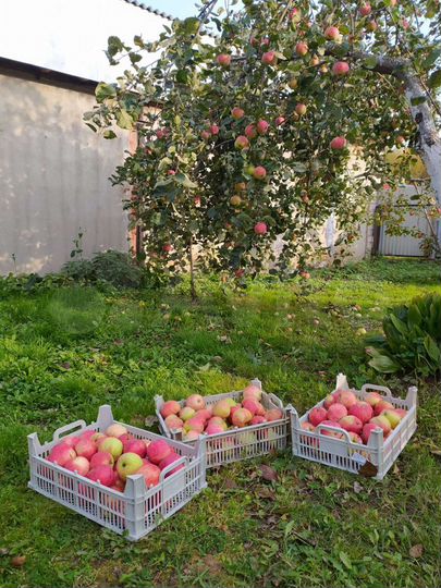 Дом 102 м² на участке 16 сот.