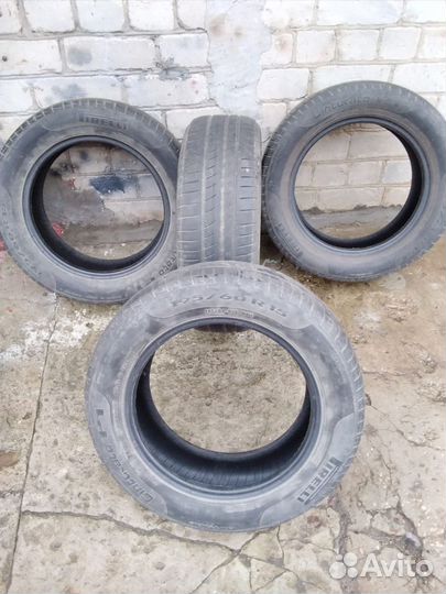 Pirelli Cinturato P1 185/65 R15