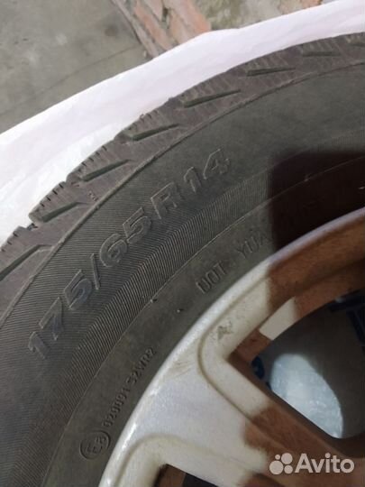 Viatti Brina 175/60 R14