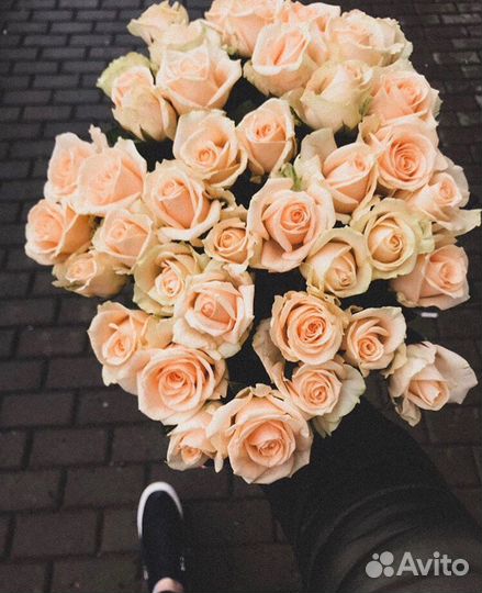 Розы персиковые Букет цветов Доставка и Самовывоз